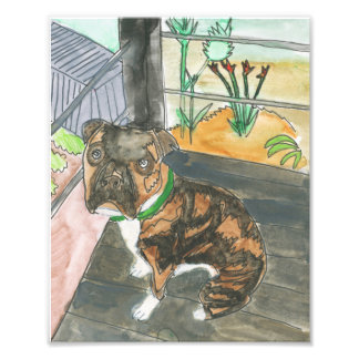 Foto Bev la impresión de la página