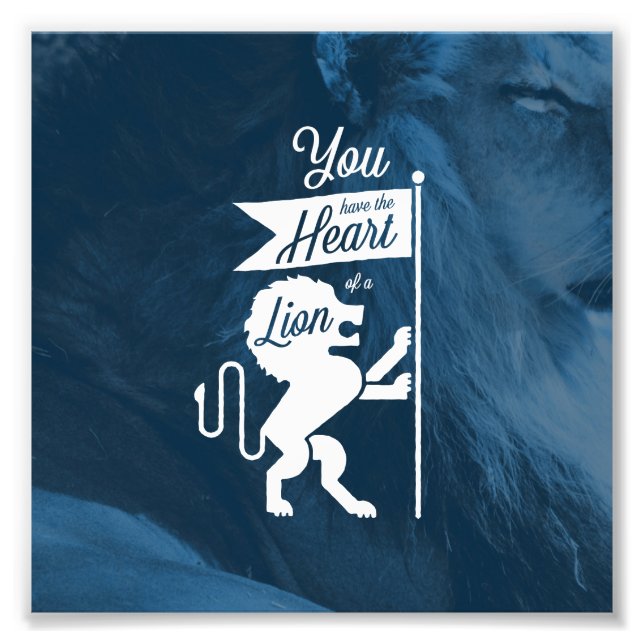 Foto Bidante Monarch #5 (6x6) (Frente)