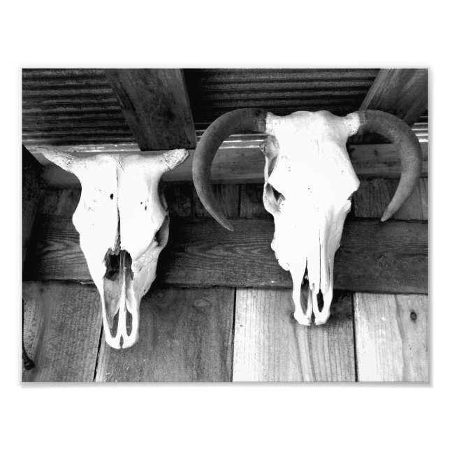 Foto Bienvenidos a Arkansas (Frente)