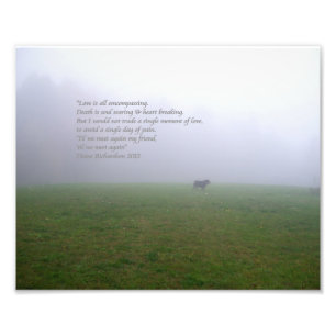 Foto Bill In The Fog, una oda a los amigos caninos que 