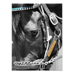 Foto Bill Mott Carreras Stables