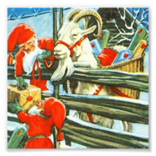 Foto "Billy Goat Helper" por Jenny Nystrom