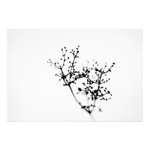 Foto Bioquímica De La Naturaleza