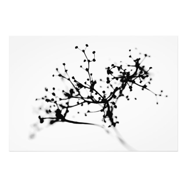 Foto Bioquímica del invierno (Frente)