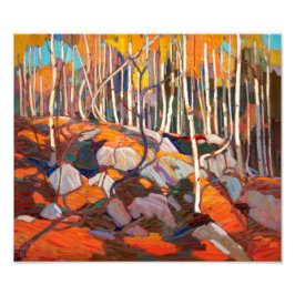 Foto Birch Grove, otoño | Tom Thomson |
