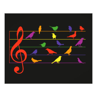 Foto Bird Song, colorful design