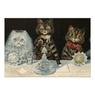 Foto Biscuits culinarios de Mellin, de Louis Wain