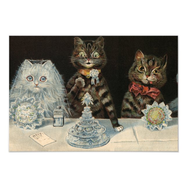 Foto Biscuits culinarios de Mellin, de Louis Wain (Frente)