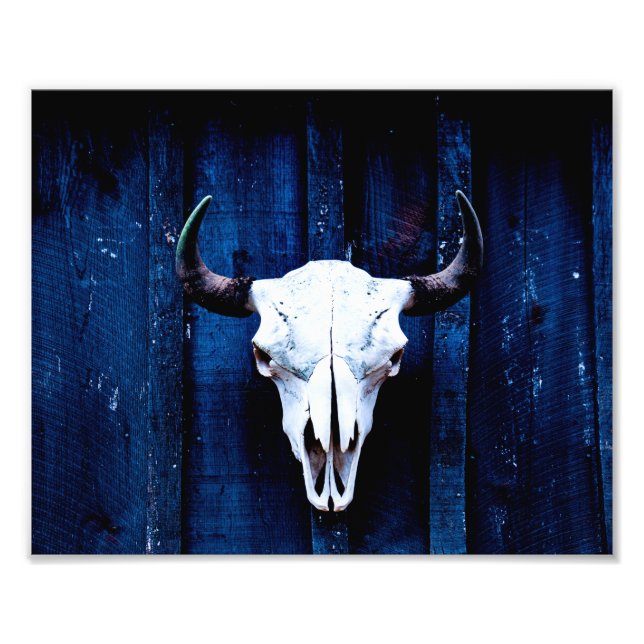 Foto Bison Skull (Frente)