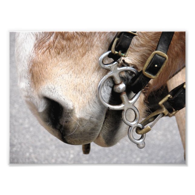 Foto bit de conducción (Frente)