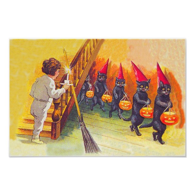 Foto Black Cat Jack O Lanter Pumpkin Broom (Frente)