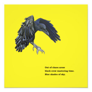 Foto Black Crow & Haiku