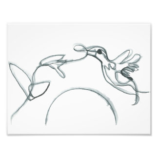 Foto Black Hummingbird