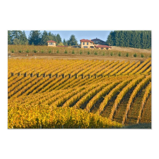 Foto Black Walnut Inn de estilo toscano sobre el (Frente)