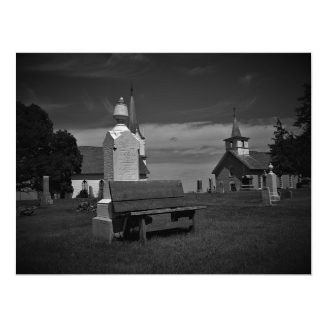Foto "Black & White Valley Grove" (Frente)