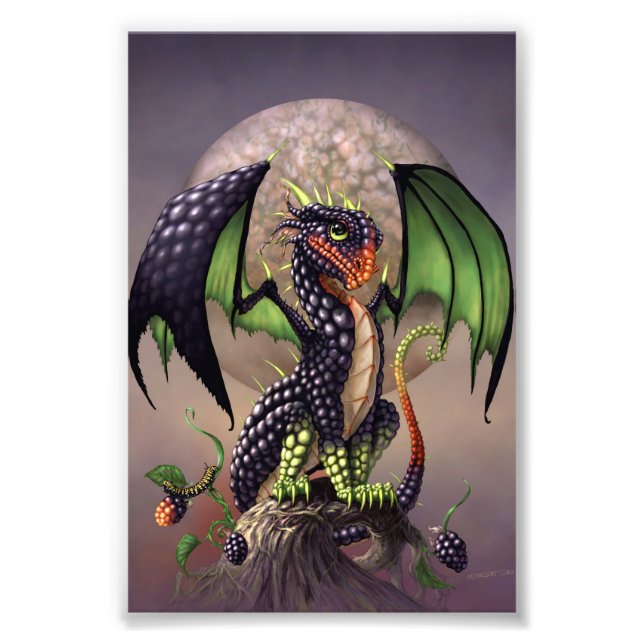 Foto Blackberry Dragon 4x6 Print (Frente)
