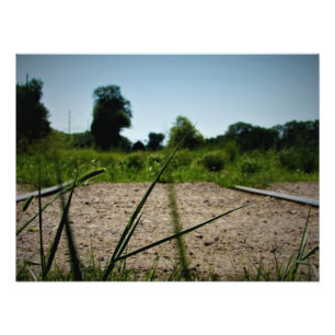 Foto "Blades de cultivo"