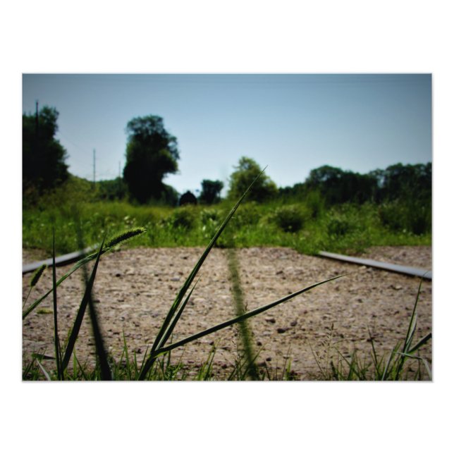 Foto "Blades de cultivo" (Frente)