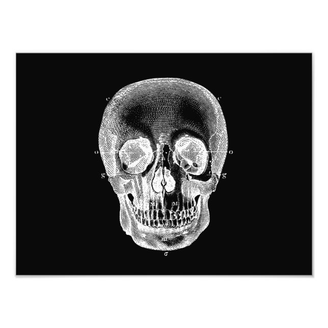 Foto Blanco negro anatómico retro de cráneo vintage de  (Frente)
