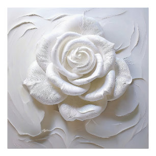 Foto Blanco Sobre Blanco - Rosa Esculpida