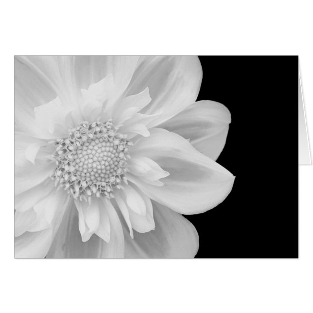 foto blanco y negro (Anverso (Horizontal))