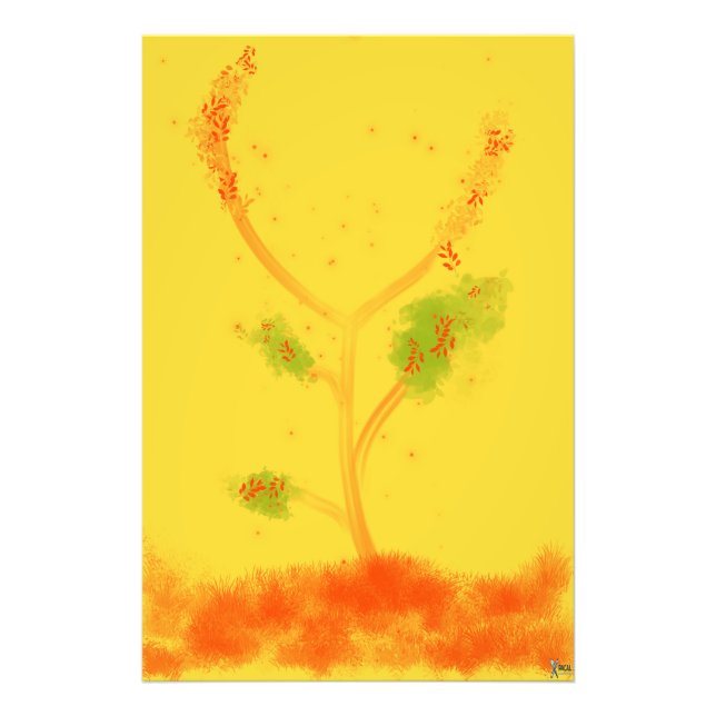 FOTO BLOSSOM (Frente)