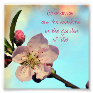 Foto Blossom rosa "Los abuelitos son..." Regalo de impr