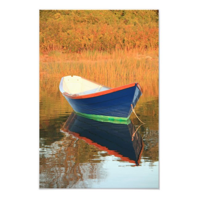 Foto Blue Dory (Frente)