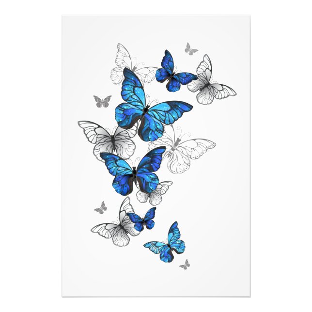 Foto Blue Flying Butterflies Morpho (Frente)