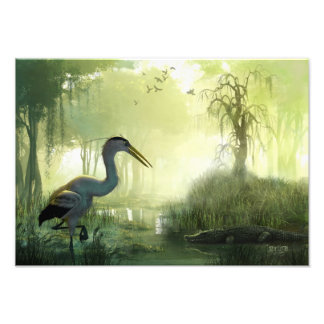Foto Blue Heron Morning