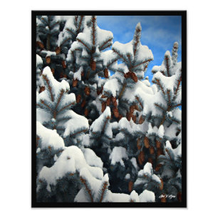 Foto Blue Sprus Cones de Nieve Full Color Wall Art Impr