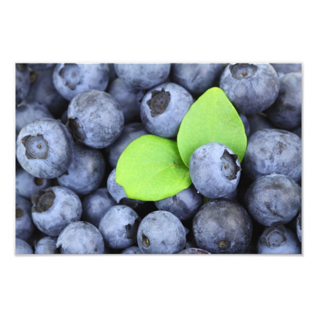 Foto Blueberries (Frente)
