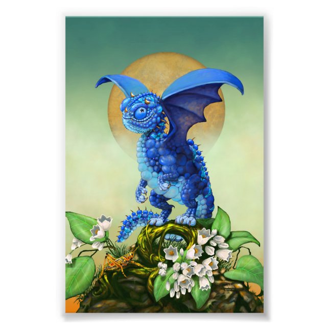 Foto Blueberry Dragon 4x6 Print (Frente)