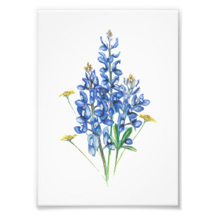 Foto Bluebonnet y Wildflowers