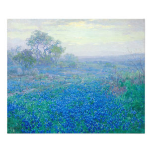 Foto Bluebonnets cerca de San Antonio, Texas, por Onder