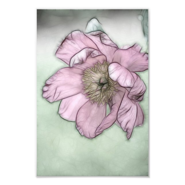 Foto Boceto de flor de peonía rosa (Frente)