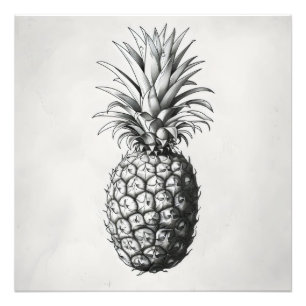 Foto Boceto monocromático de piña