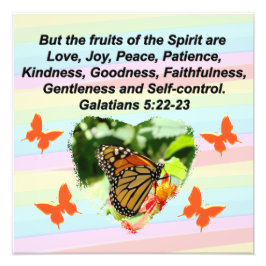 FOTO BONITA FRUTA BUTTERFLY DEL ESPÍRITU