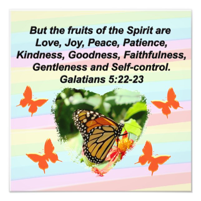 FOTO BONITA FRUTA BUTTERFLY DEL ESPÍRITU (Frente)