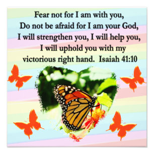 FOTO BONITA MARIPOSA NARANJA ISAIAH DISEÑO 41:10