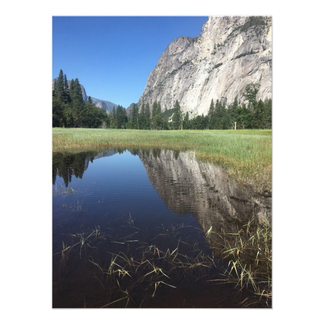 Foto Bonita naturaleza (Frente)