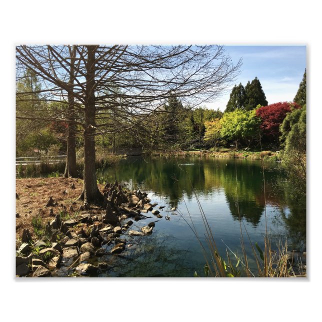 Foto Bonitas vistas al lago (Frente)