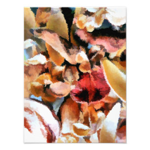 FOTO BONITO POTPOURRI