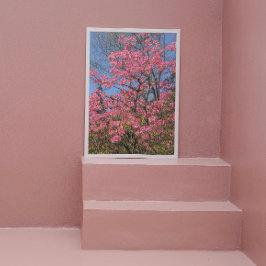 Foto Bonito Rosa Azaleas Floral