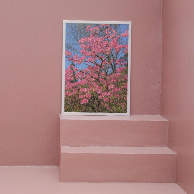 Foto Bonito Rosa Azaleas Floral (In Situ (Framed))