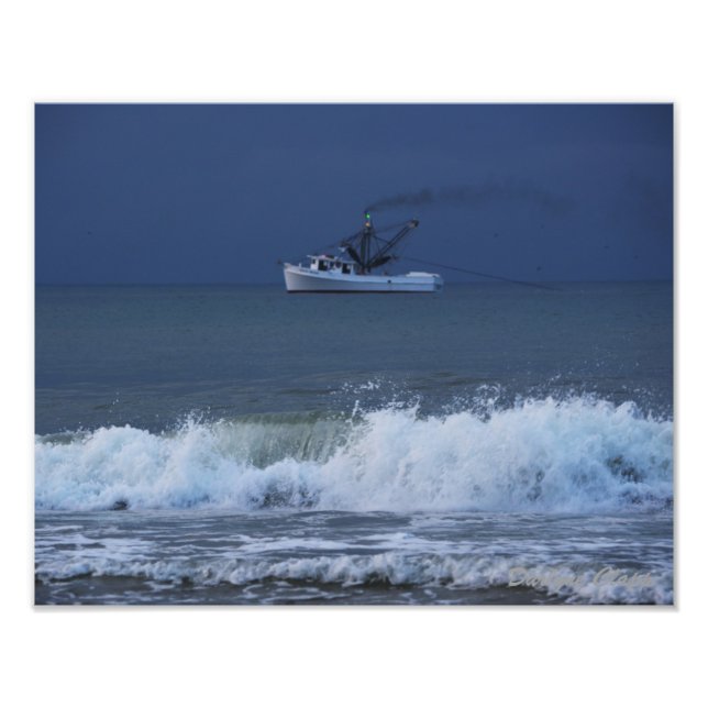 Foto 'Bonny Blue' (Frente)