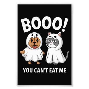 Foto Boo, no puedes comerme perros y gatos divertidos H