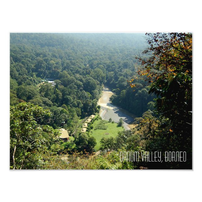 Foto Borneo Rainforest Jungle Danum Valley Fotografía (Frente)