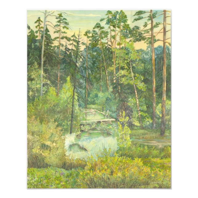 Foto bosque (Frente)