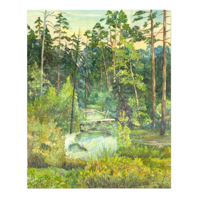 Foto bosque (Frente)